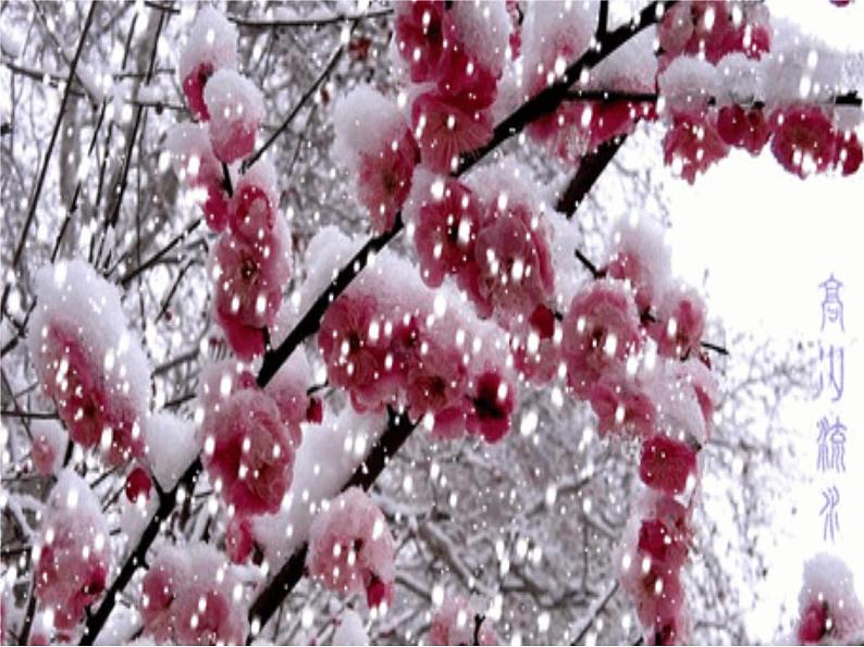 课外古诗词诵读陆游《卜算子·咏梅》课件PPT第6页