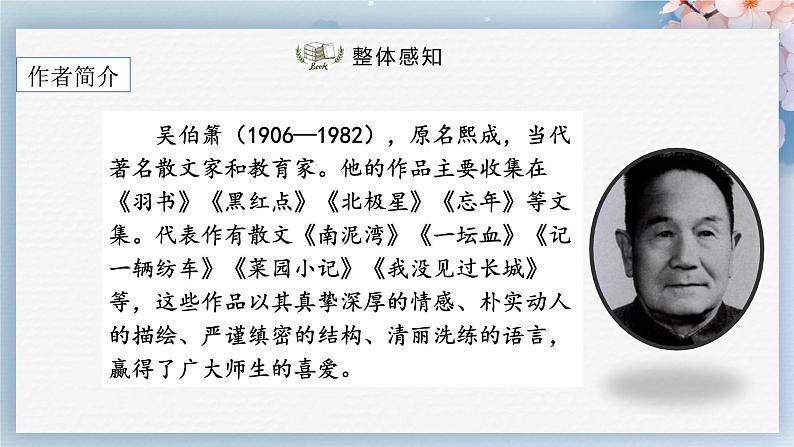 04 灯笼(课件)-2022-2023学年八年级语文下册同步精品课件+教案+练习第5页