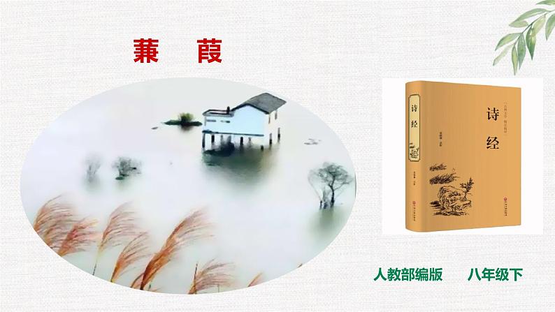 第12课《蒹葭》精讲课件 八年级下册语文 第三单元2023年春 部编人教版第1页