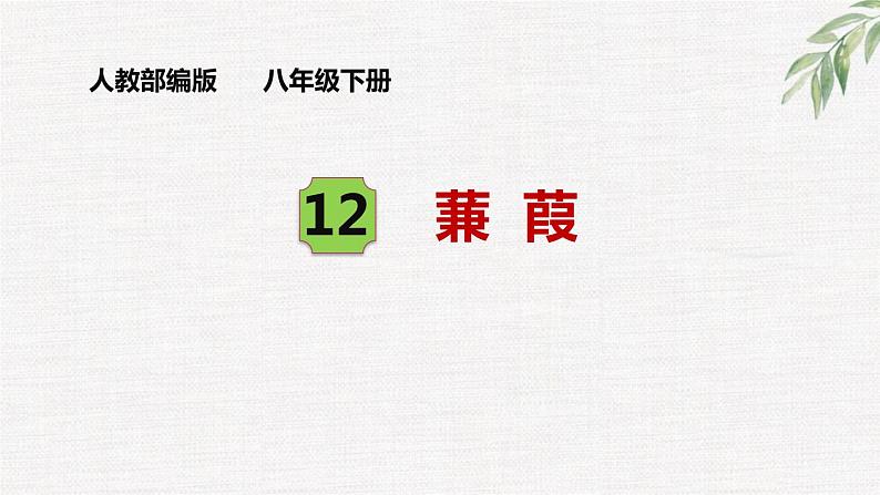 第12课《蒹葭》精讲课件 八年级下册语文 第三单元2023年春 部编人教版第2页