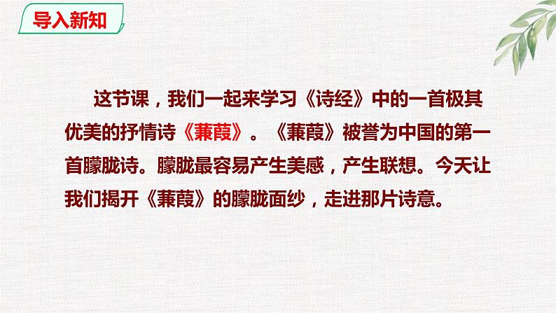第12课《蒹葭》精讲课件 八年级下册语文 第三单元2023年春 部编人教版第5页