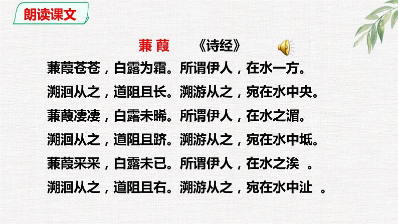 第12课《蒹葭》精讲课件 八年级下册语文 第三单元2023年春 部编人教版第8页