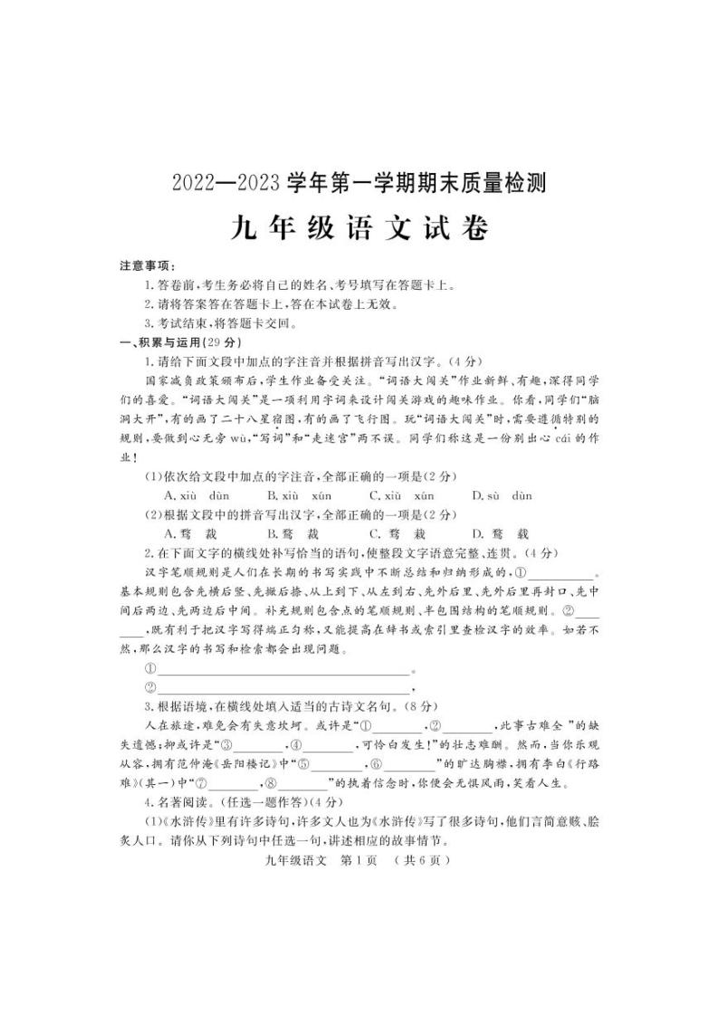 河南省洛阳市宜阳县2022-2023学年九年级上学期期末语文试题01