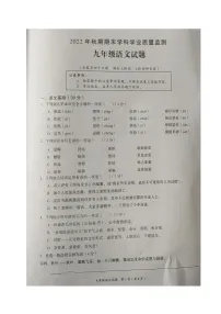 重庆市南川区2022-2023学年九年级上学期期末质量监测语文试题