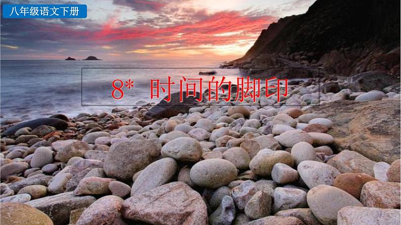 部编版八年级语文下册--8 时间的脚印(课件)第3页