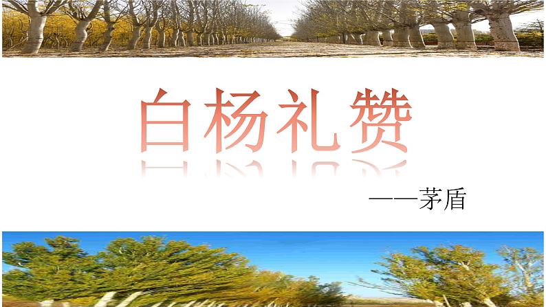 八上白杨礼赞 课件02