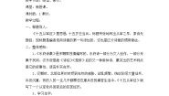 初中语文人教部编版九年级下册第六单元24 诗词曲五首十五从军征教案设计