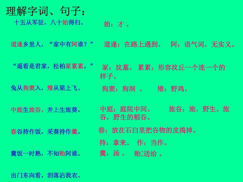 部编版九年级语文下册--24.诗词曲五首-十五从军征(课件3)第8页