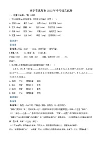 2022年辽宁省沈阳市中考语文真题(教师版)