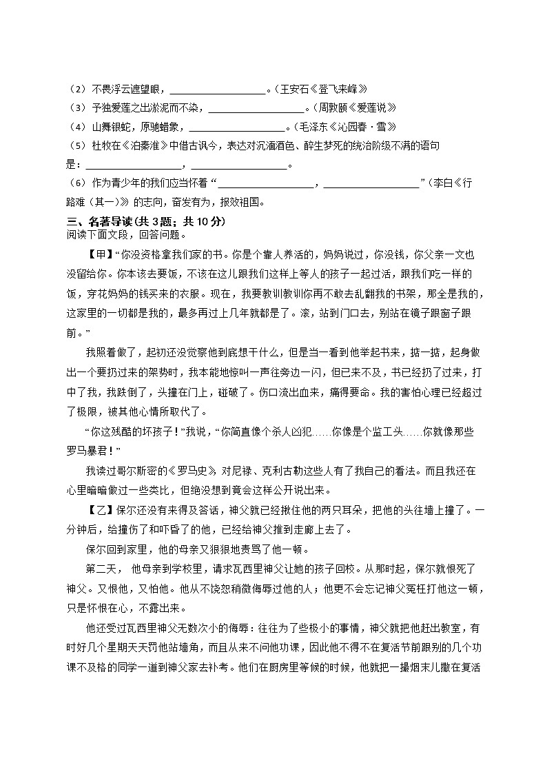 2023年山东省潍坊市新纪元学校(滨海校区)中考一轮复习模拟考试语文试题第3页