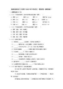 2023年陜西省 西安工業(yè)大學(xué)附屬中學(xué)中考一模語文試卷(含答案)