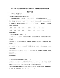 2022-2023学年湖北省武汉市九年级上册期中语文专项突破模拟试题（含解析）