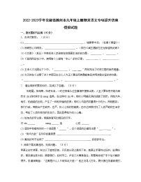 2022-2023学年安徽省滁州市九年级上册期末语文专项提升仿真模拟试题（含解析）