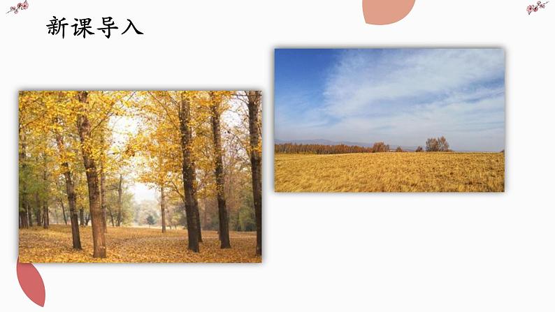 5 秋天的怀念课件PPT04