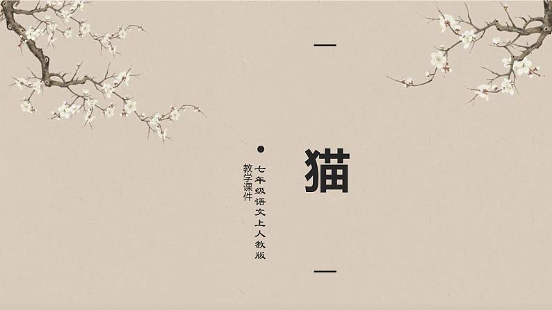 16《 猫》课件PPT01