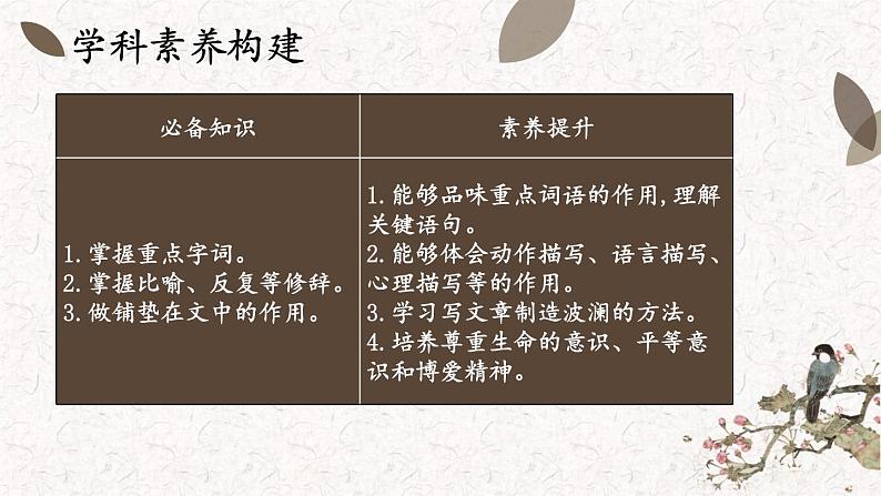 16《 猫》课件PPT02