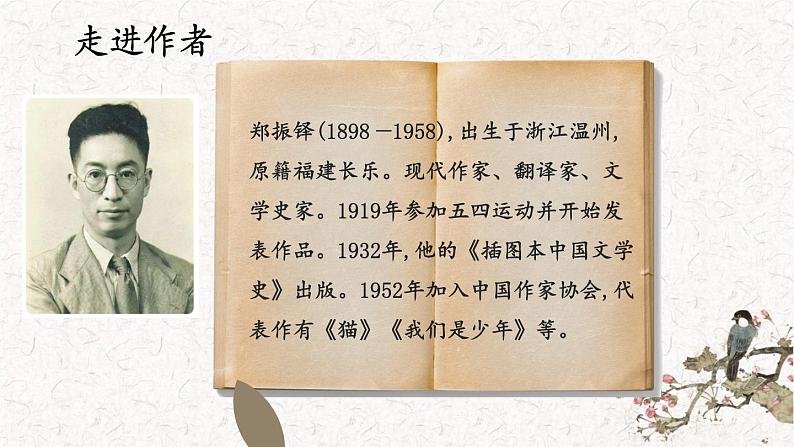 16《 猫》课件PPT04