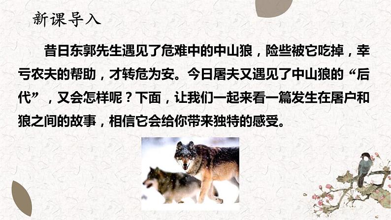 18《 狼》课件PPT03