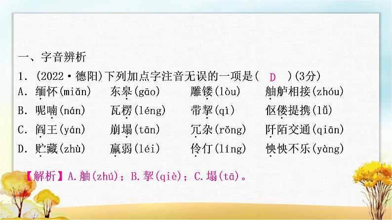 中考语文复习专题一字音字形教学课件第3页