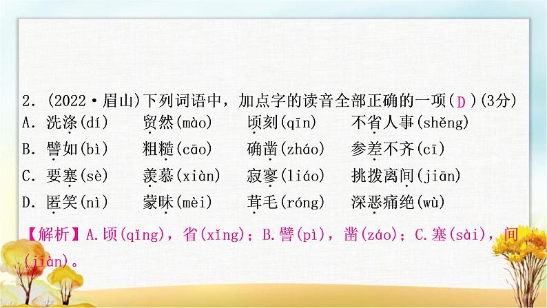 中考语文复习专题一字音字形教学课件第4页