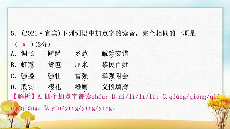 中考语文复习专题一字音字形教学课件第7页