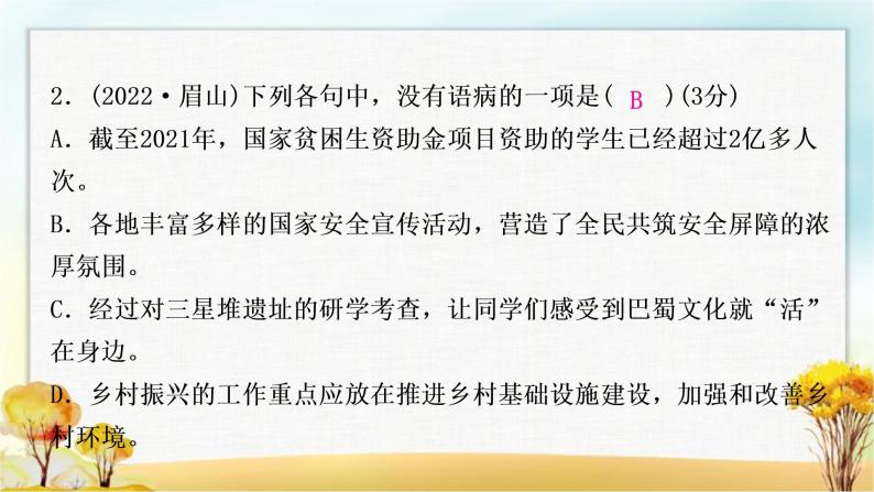 中考语文复习专题四病句辨析与修改教学课件05