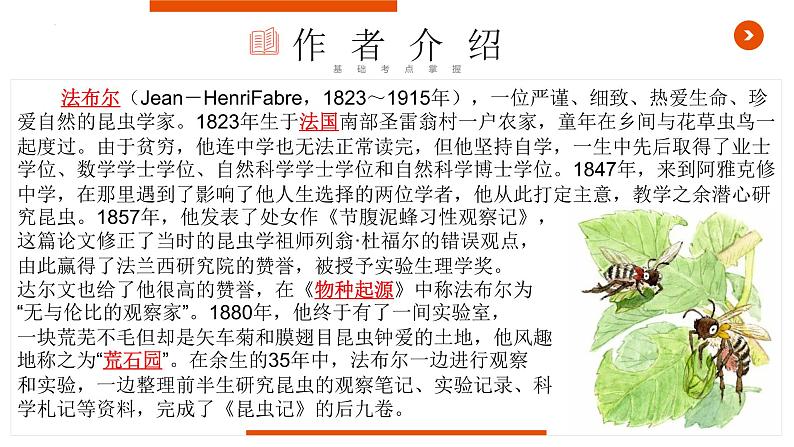 中考语文名著复习--《昆虫记》复习课件第3页