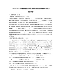 2022-2023学年福建省泉州市九年级下册语文期中专项提升模拟试卷（含解析）