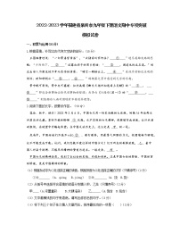 2022-2023学年福建省泉州市九年级下册语文期中专项突破模拟试卷（含解析）