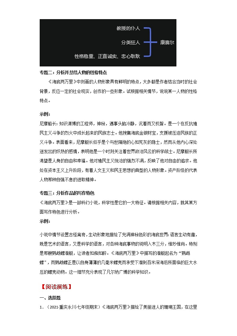 专题04 《海底两万里》-备战中考名著整本书阅读素材与练习第2页