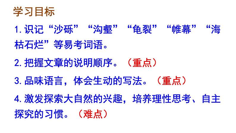 8课《时间的脚印》课件第3页