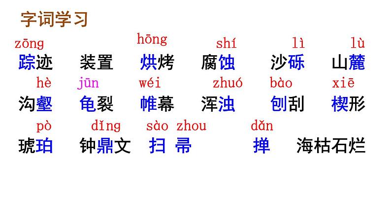 8课《时间的脚印》课件第5页