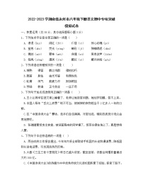 2022-2023学湖南省永州市八年级下册语文期中专项突破模拟试卷（含解析）