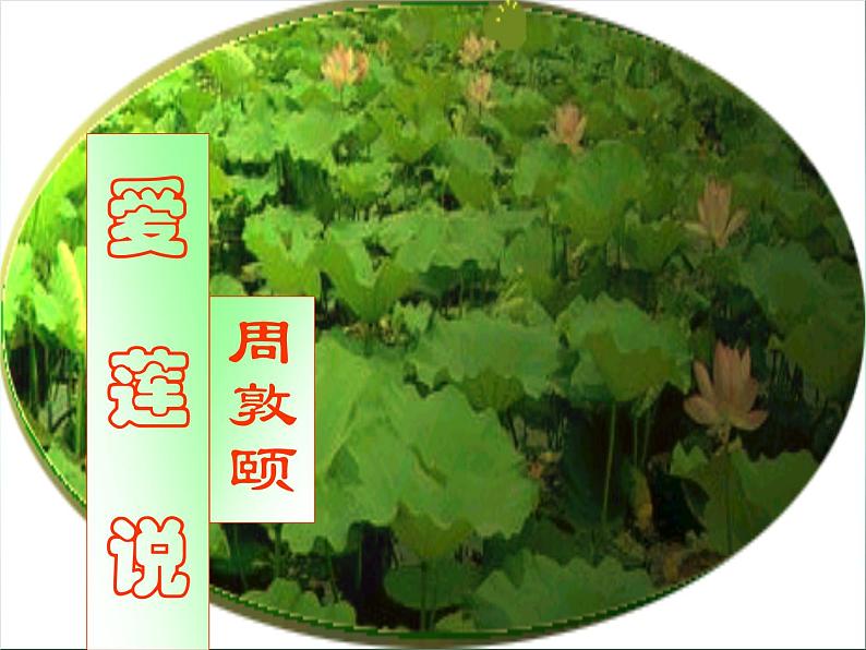 部编版七年级语文下册--17.短文两篇-爱莲说(课件1)第6页