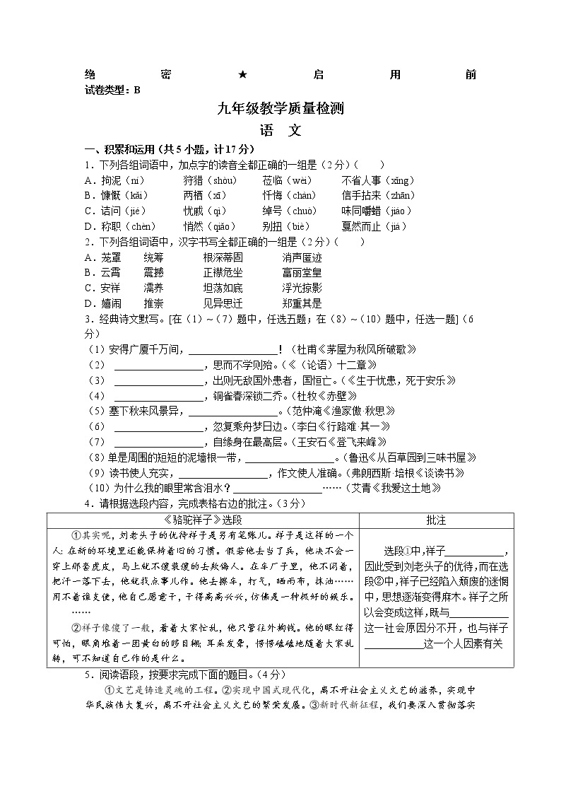 陕西省宝鸡市凤翔县2022-2023学年九年级下学期第一次月考语文试题01