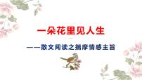 一朵花里看人生-中考散文情感主旨把握   课件  2023年中考语文二轮专题