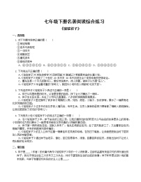 初中人教部編版名著導(dǎo)讀《駱駝祥子》：圈點(diǎn)與批注優(yōu)秀練習(xí)