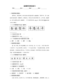 基础知识综合练习 -2023年中考语文考前必刷专题（江苏南京）