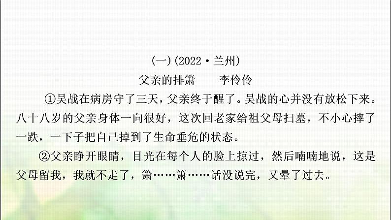 中考语文复习专题十一记叙文阅读作业课件第3页
