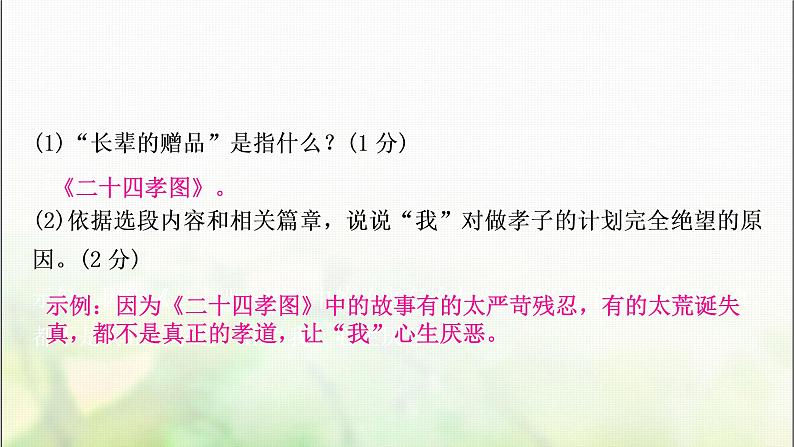中考语文复习专题十五名著阅读作业课件第4页