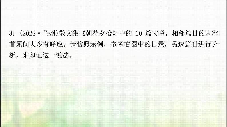 中考语文复习专题十五名著阅读作业课件第6页