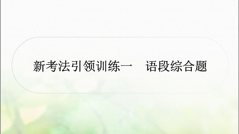 中考语文复习新考法引领训练一语段综合题作业课件第1页