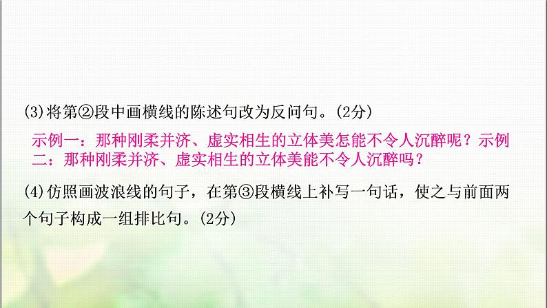 中考语文复习新考法引领训练一语段综合题作业课件第5页
