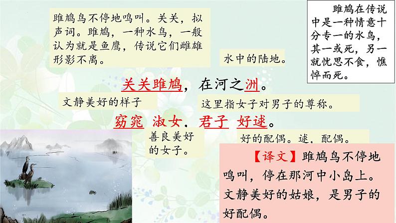 部编版八年级语文下册精品课件《诗经》二首(关雎)08
