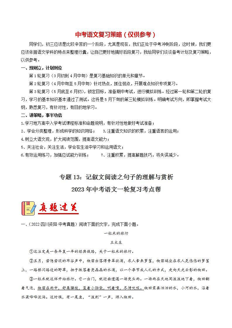 备战2023年中考语文一轮复习课件+习题 专题13:记叙文阅读之句子的理解与赏析 (全国通用)01