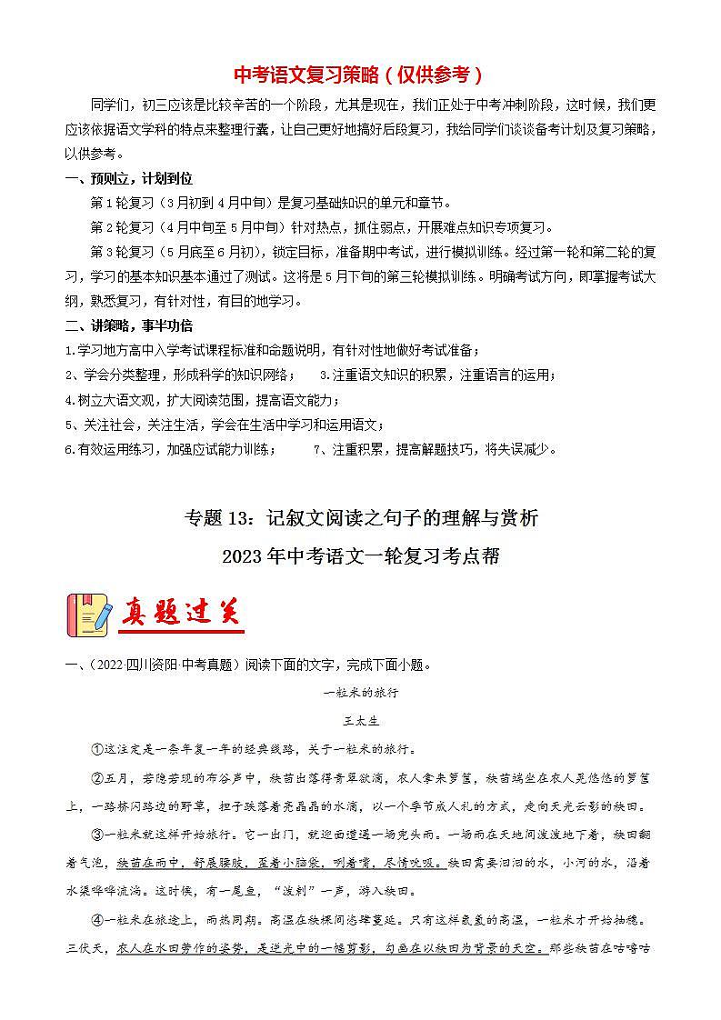 备战2023年中考语文一轮复习课件+习题 专题13:记叙文阅读之句子的理解与赏析 (全国通用)01