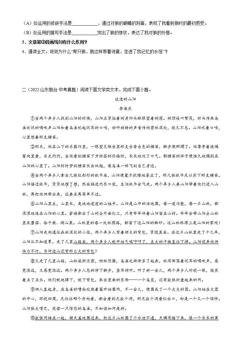 专题14:记叙文阅读之句段的作用【习题精练】-备战2023年中考语文一轮复习考点帮(全国通用) (解析版)第3页