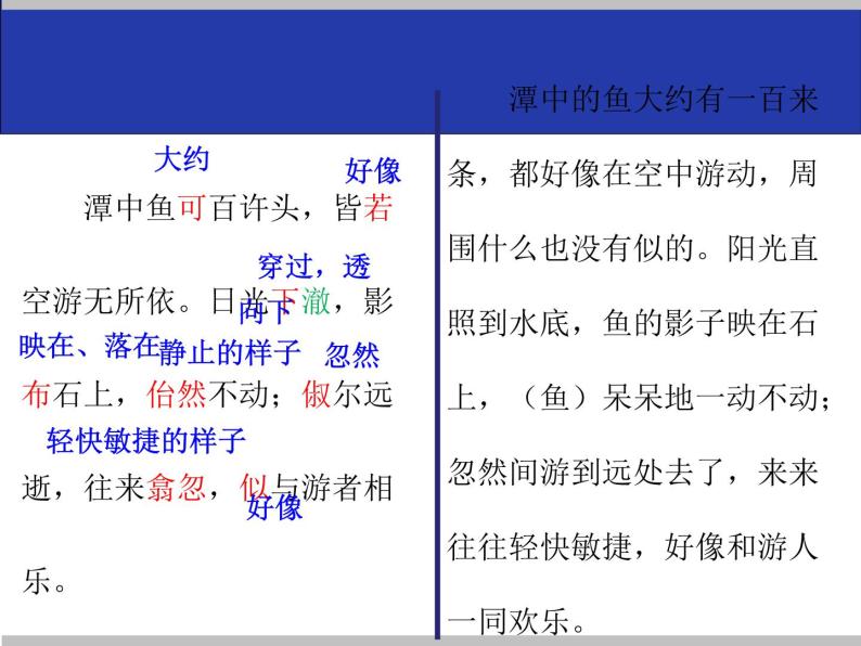 人教部编版八年级语文下册10.小石潭记   课件08