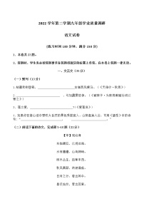 2023年上海市闵行区中考二模语文试题(无答案)