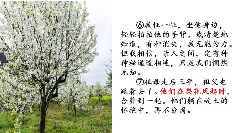 中考作文指导--记叙文中如何穿插景物描写(精品课件)第7页